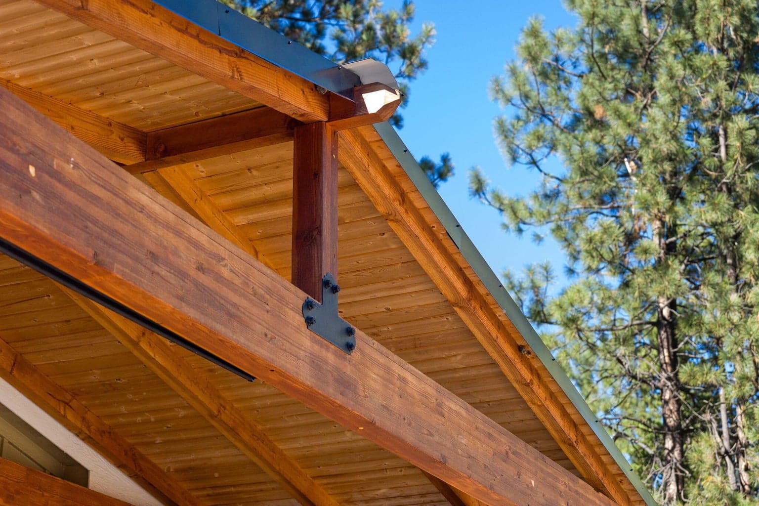 Photo of 52025 Noble Fir 49 of 50