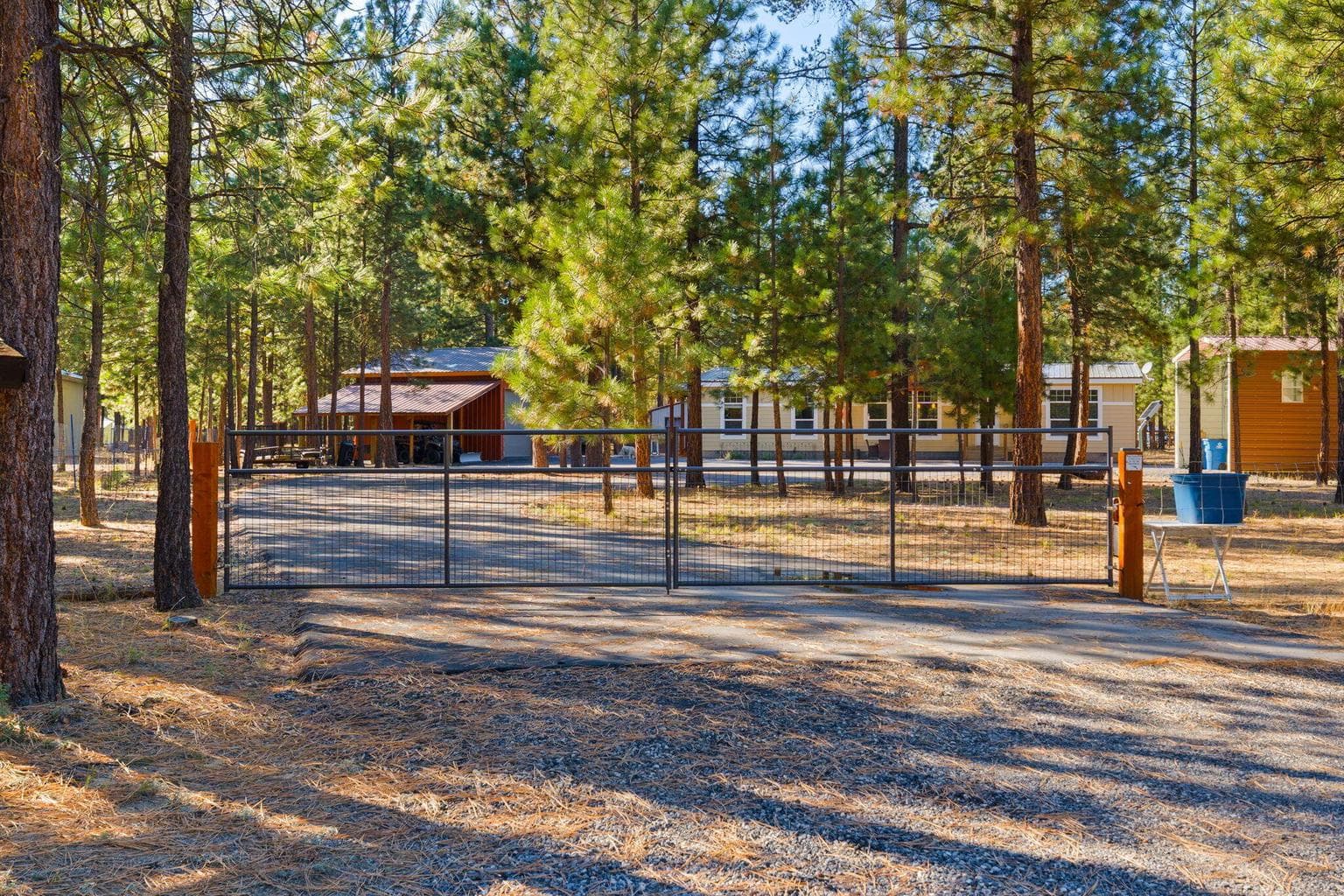 Photo of 52025 Noble Fir 50 of 50