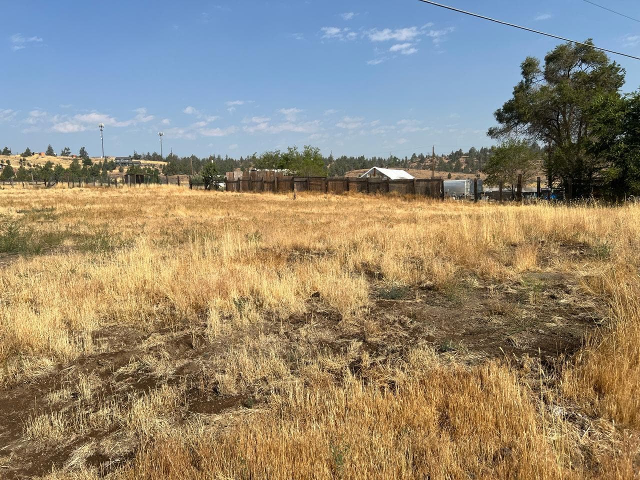 370 Meadowlark