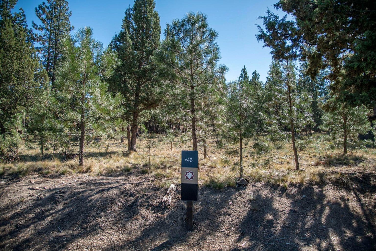 Ready for your dream home in Tetherow!