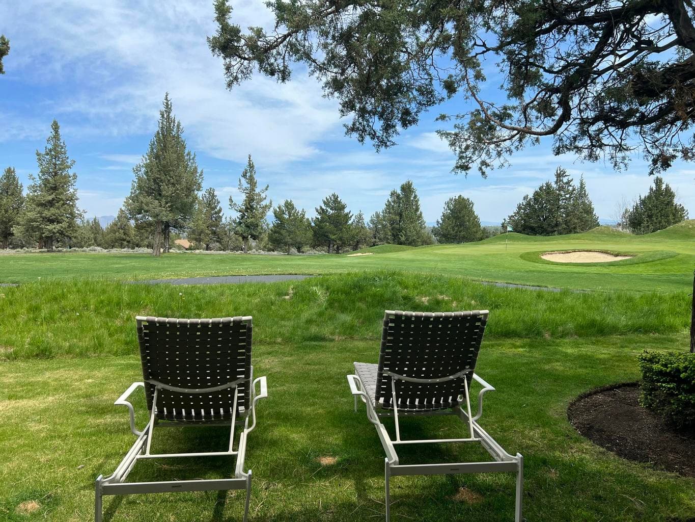 Photo of 1461 Eagle Springs Court 51 of 91