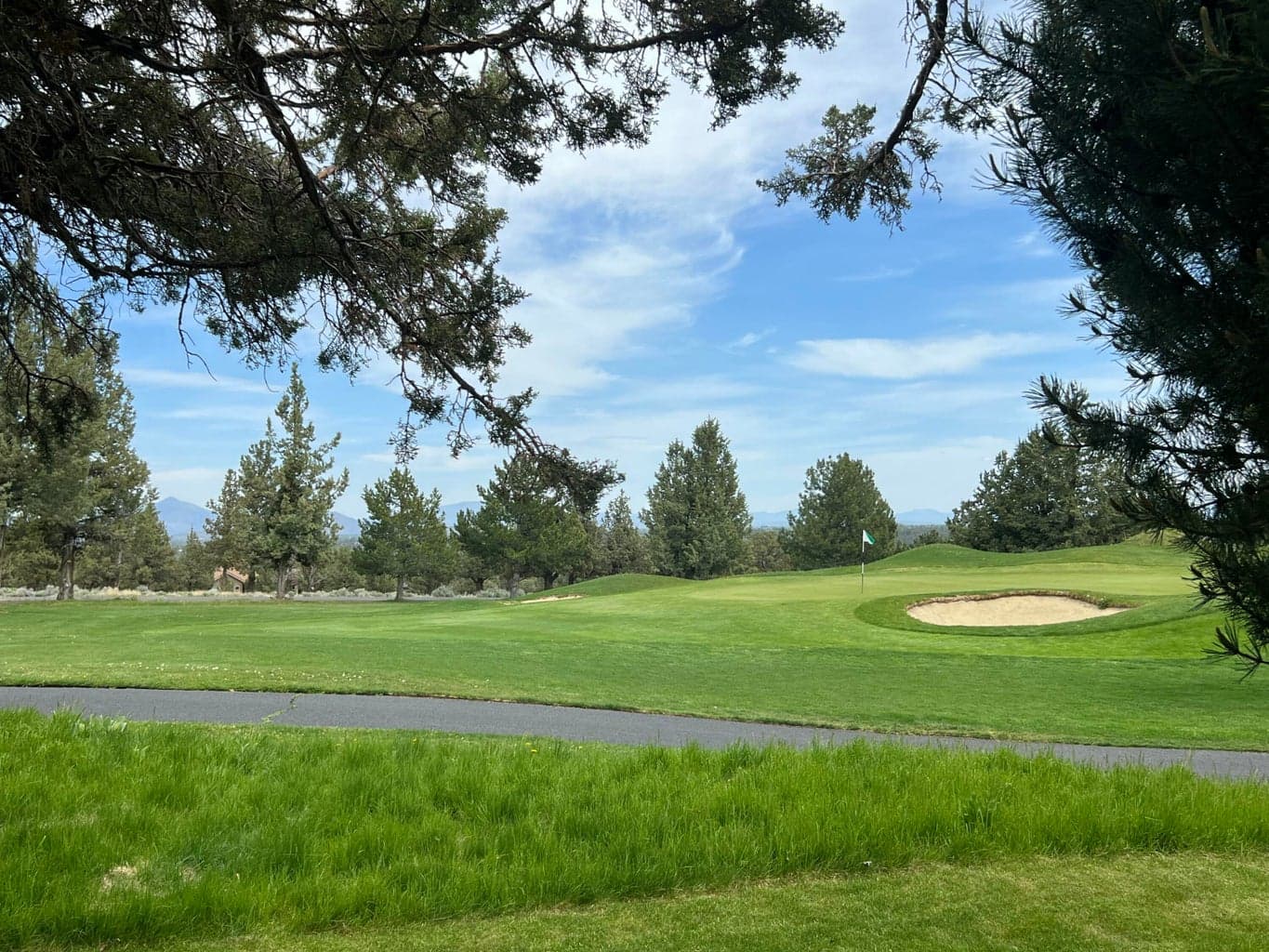Photo of 1461 Eagle Springs Court 57 of 91