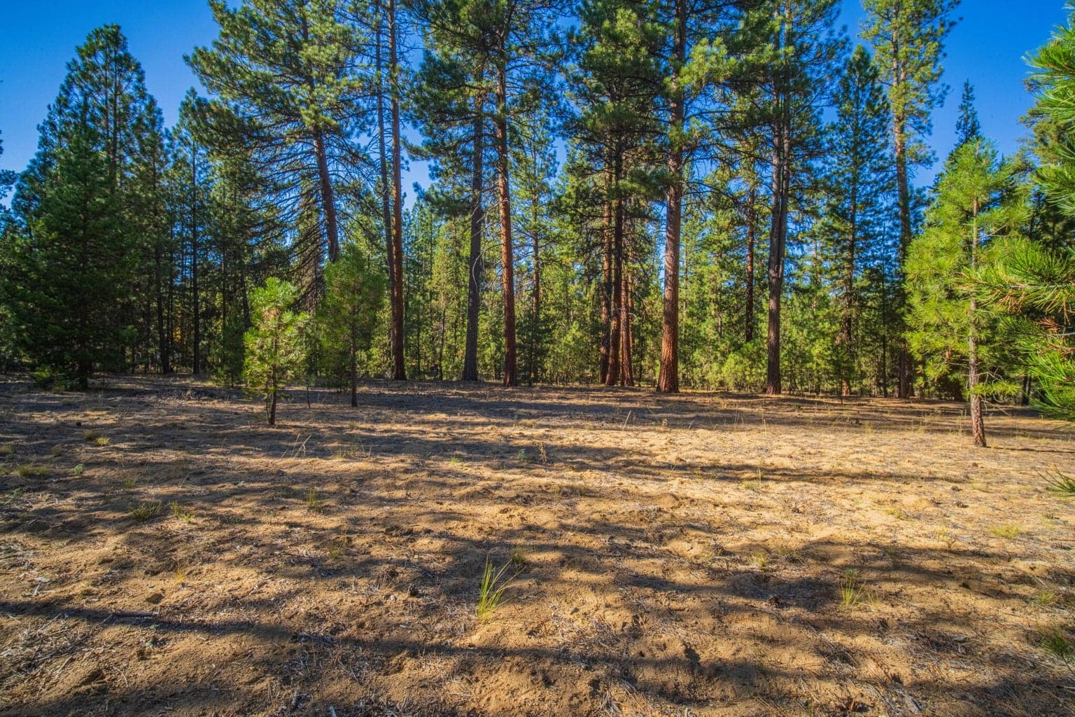 .52 acre lot