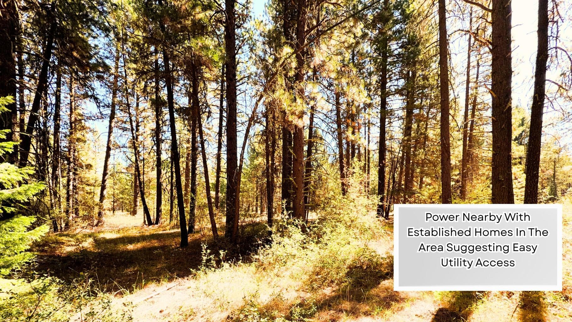 Photo of 0 Mountain Lakes Homesites 5 of 19