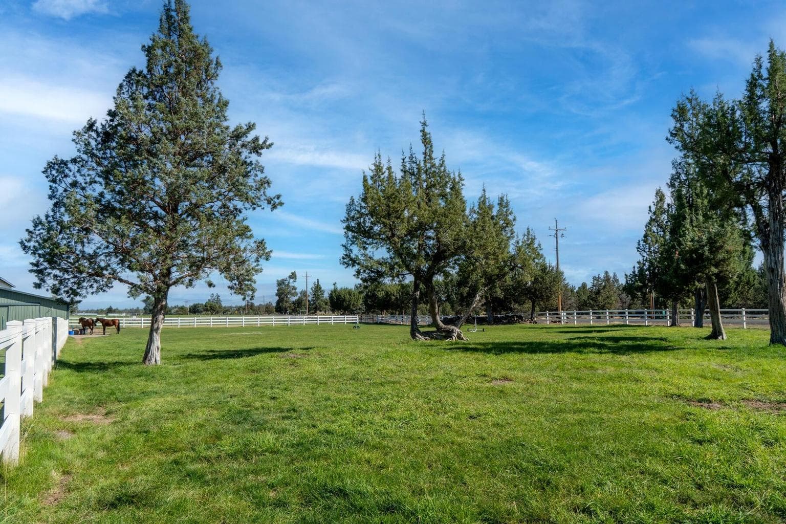Photo of 61416 Cougar Trail 52 of 55