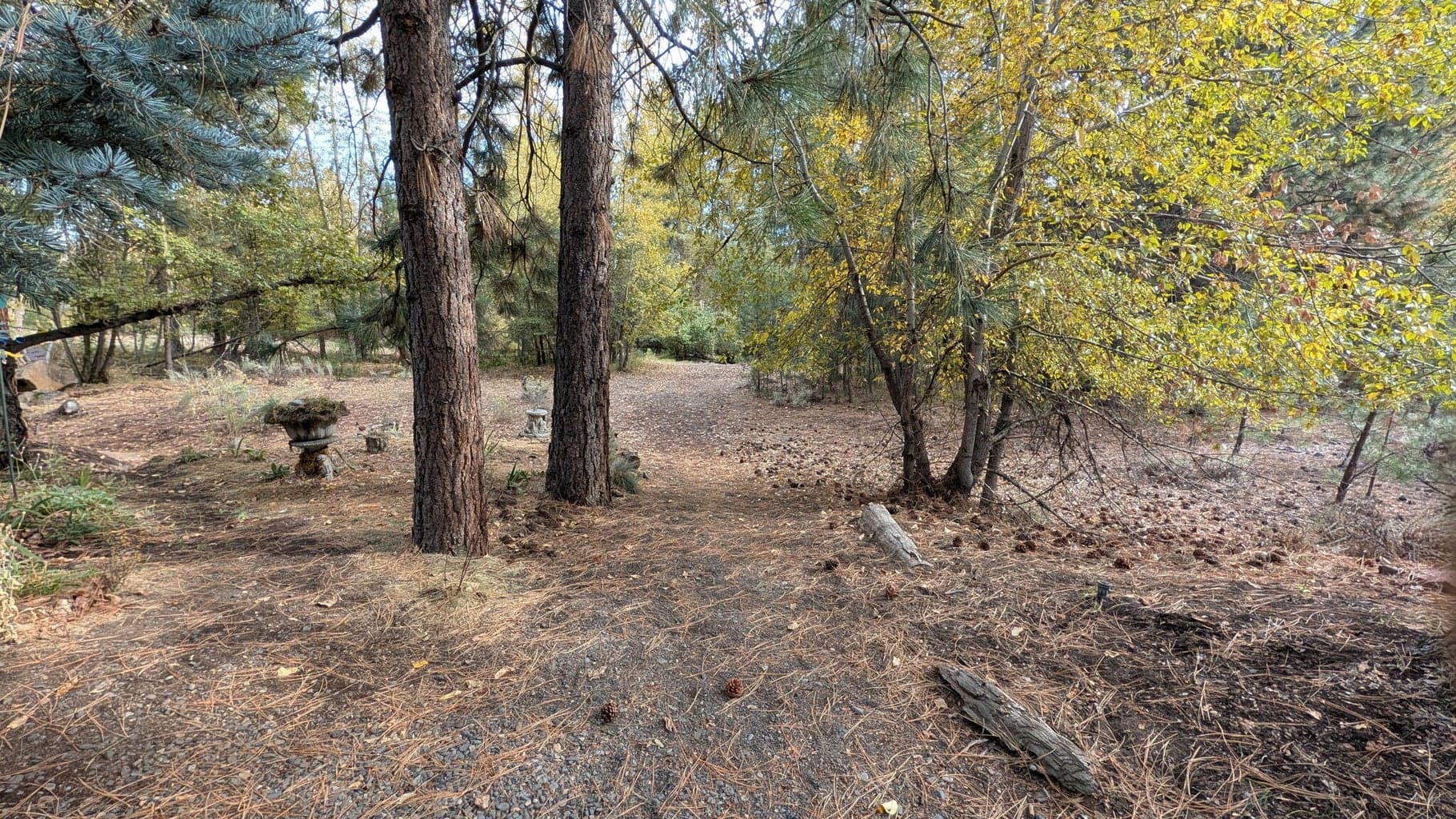 1-minute stroll to the Whychus Creek nature trail and the pedestrian path leading to Downtown Sisters!