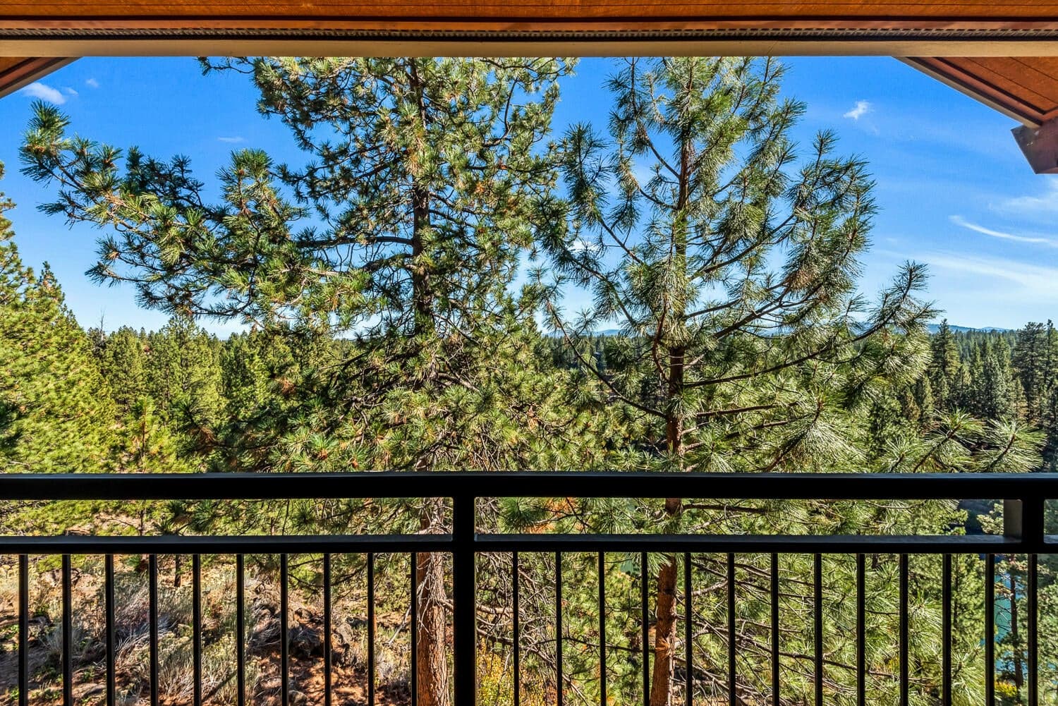 Photo of 18575 SW Century Drive 14 of 16