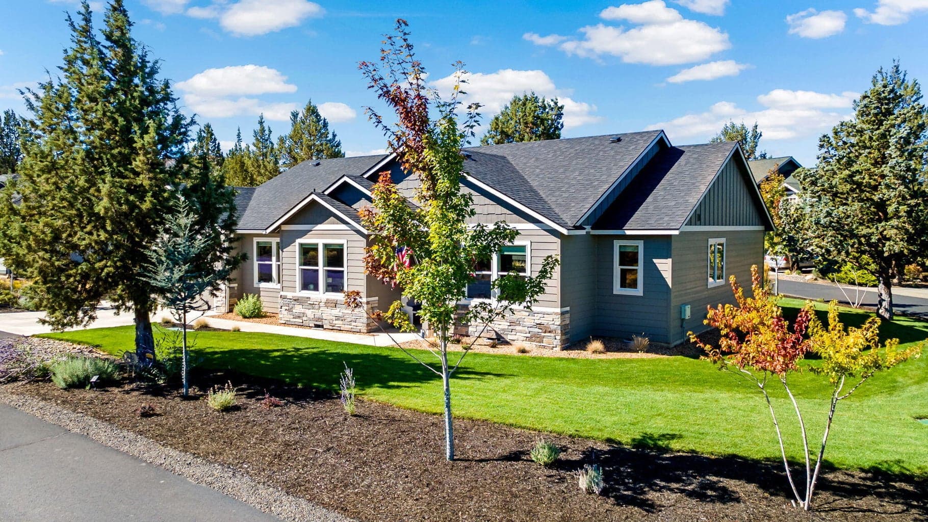 Photo of 810 Willet 2 of 50