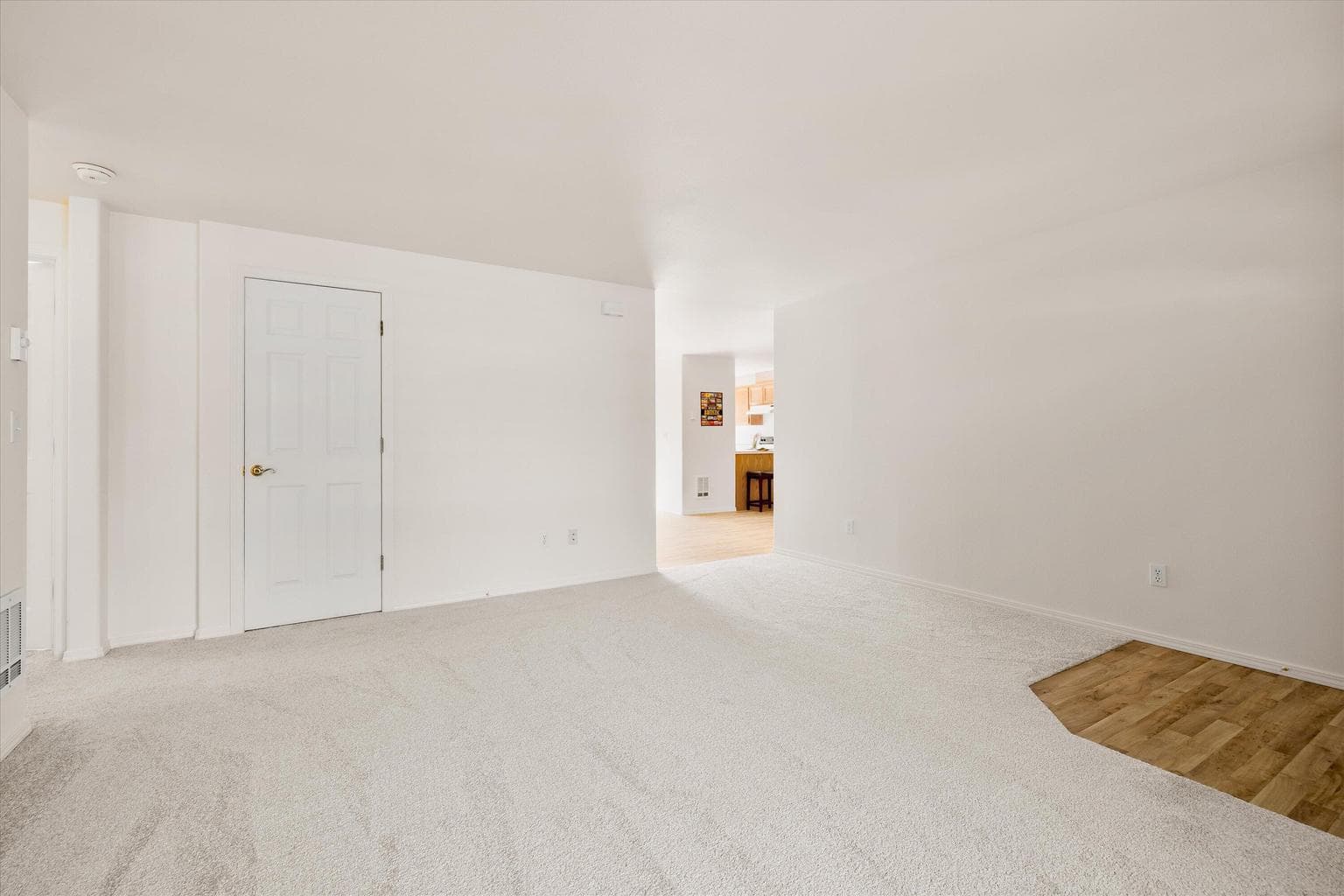 Living area with storage utility closet