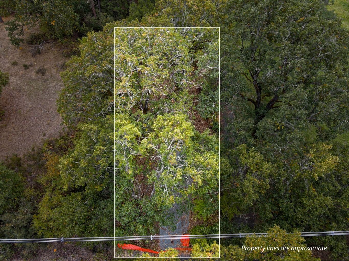 400 Three Pines