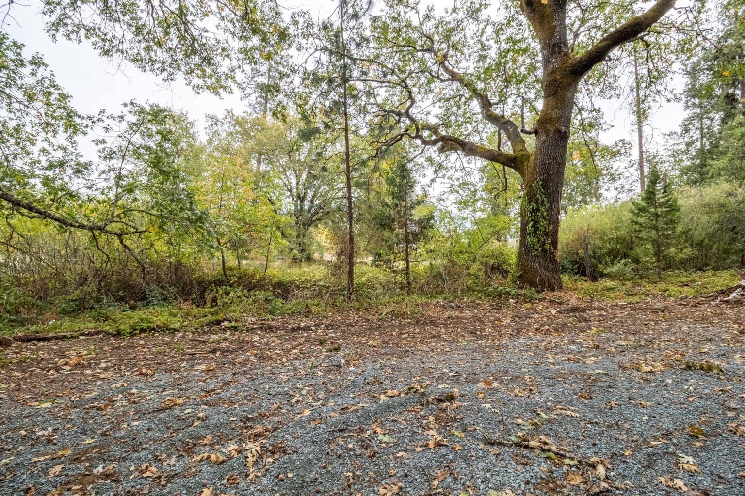 Photo of 400 Three Pines 4 of 8