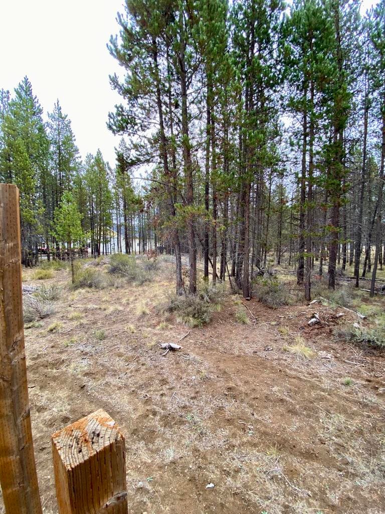 Photo of 54896 Huntington Road 51 of 66