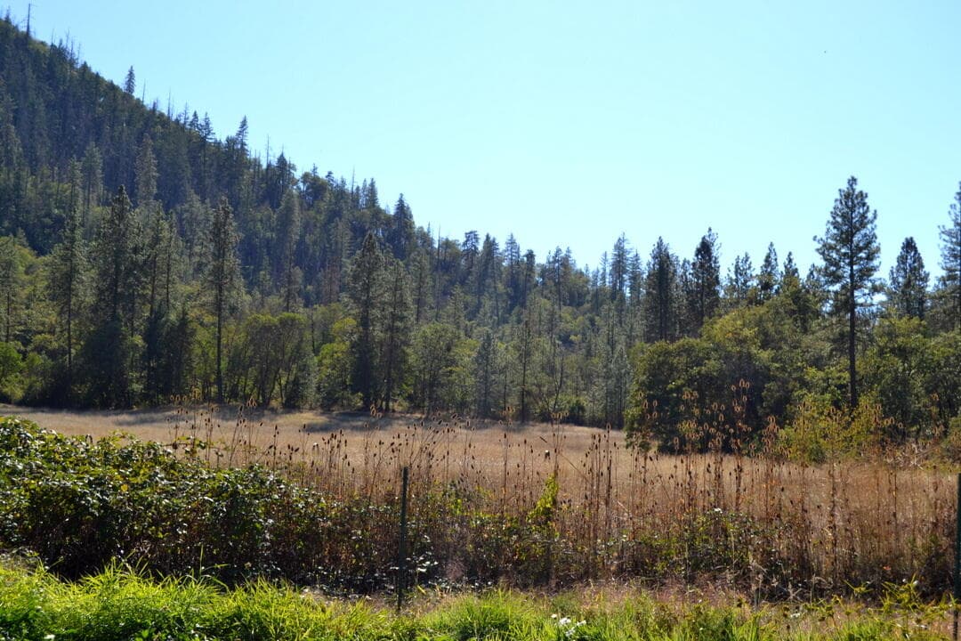 Photo of 15950 Highway 238 4 of 45