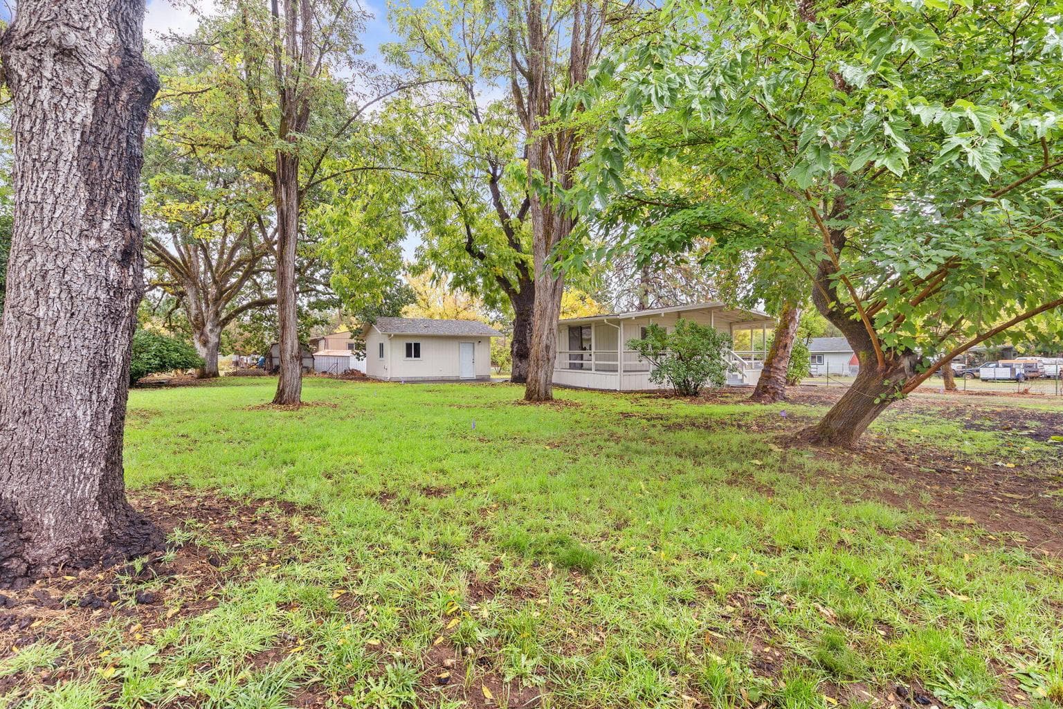 Photo of 335 Tavis 4 of 25