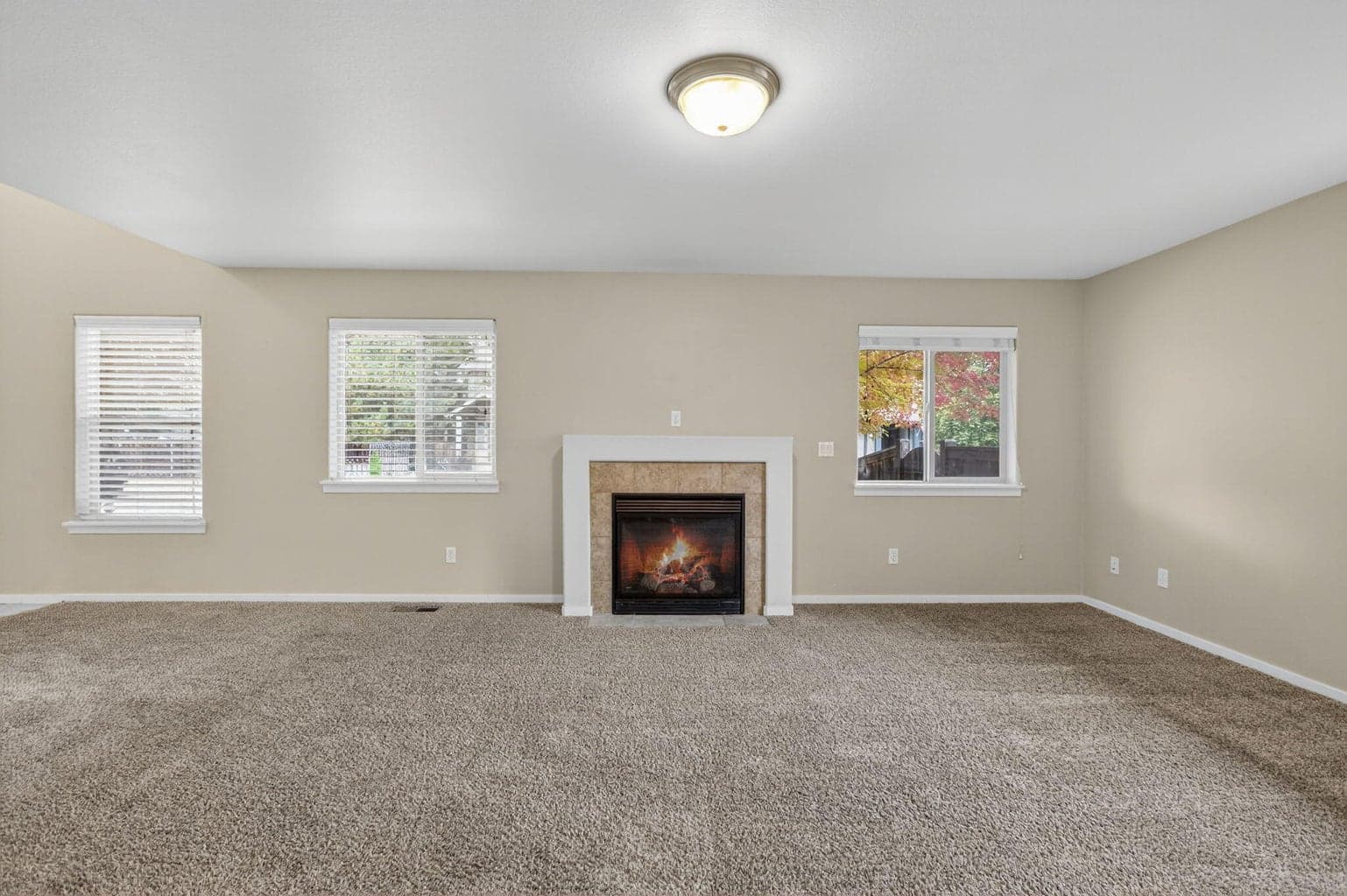 Photo of 21154 Ritz 5 of 24