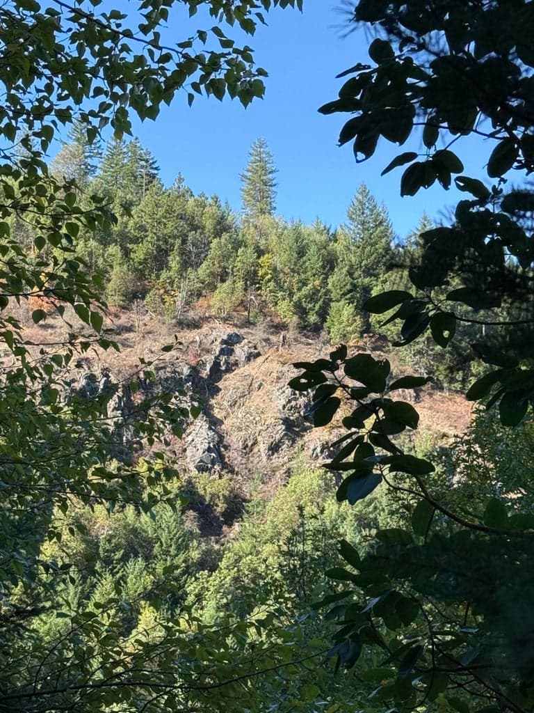 Photo of 160 Birdseye Cr 5 of 18