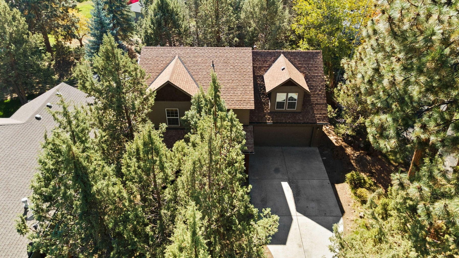 Photo of 20575 Conifer 3 of 36