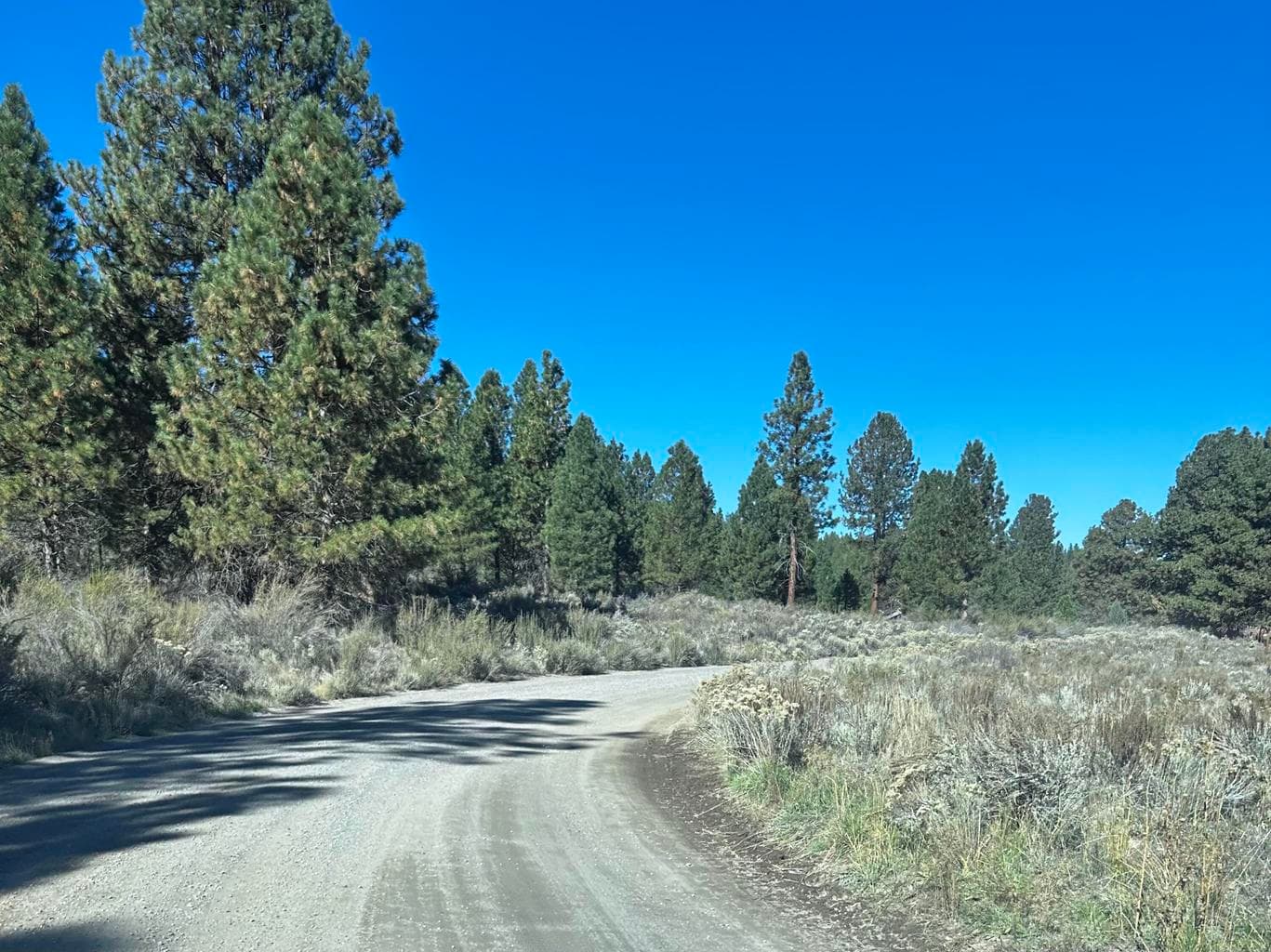 Oregon Pines Rd.