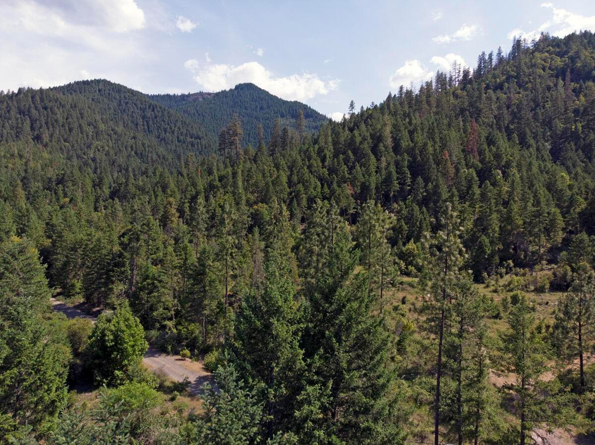TL3100 Thompson Creek