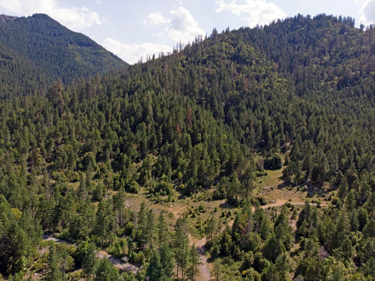 Photo of TL3100 Thompson Creek 3 of 30