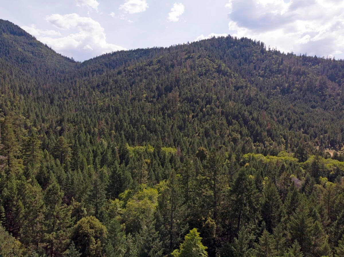 Photo of TL3100 Thompson Creek 5 of 30