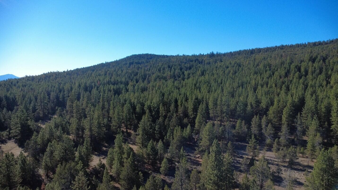 000 KNA Picard/ Old State Hwy, Dorris, 96023