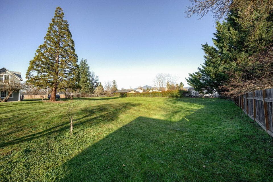 Photo of 0 Garfield 5 of 5