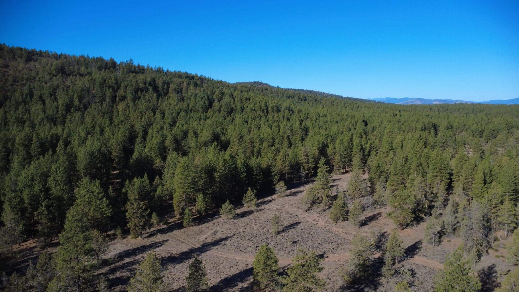 Photo of 000 KNA Picard/ Old State Hwy 6 of 12