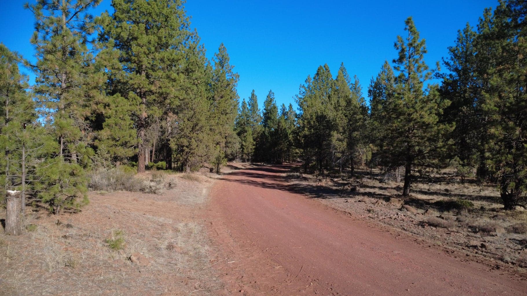 Photo of 000 KNA Picard/ Old State Hwy 5 of 12