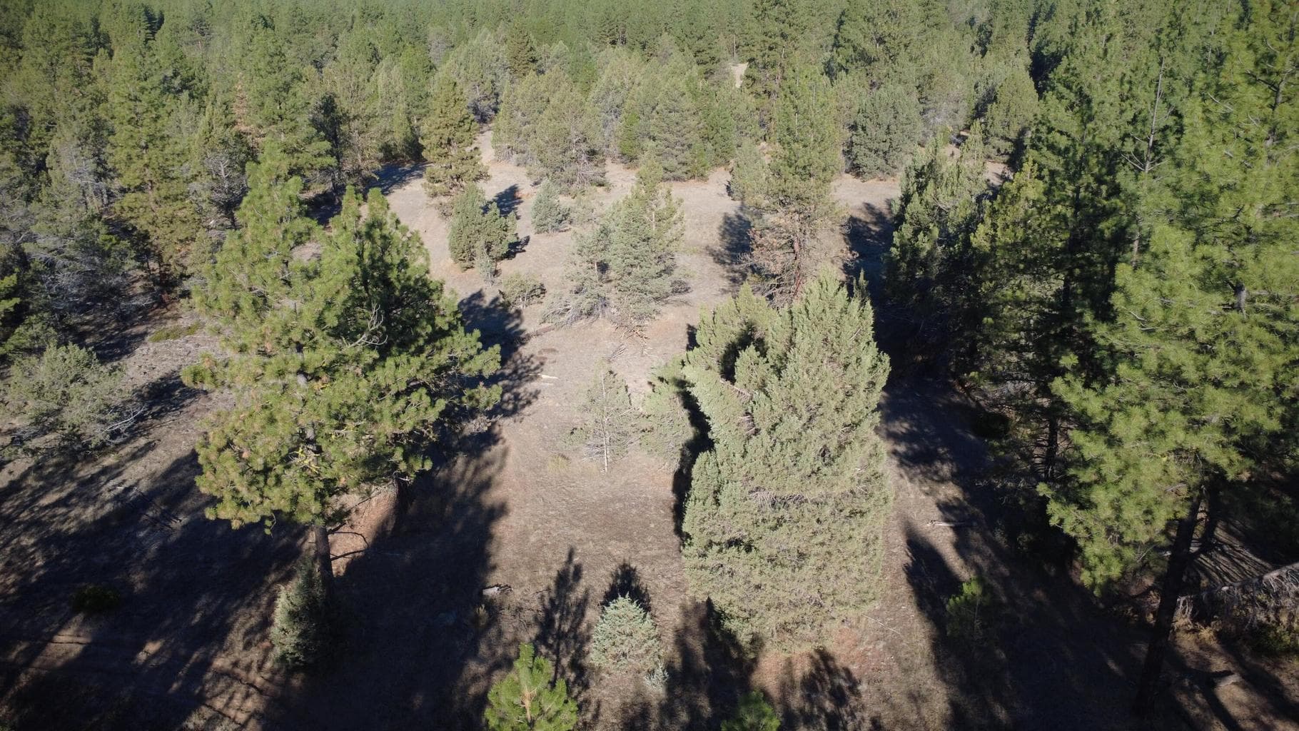 Photo of 000 KNA Picard/ Old State Hwy 4 of 12