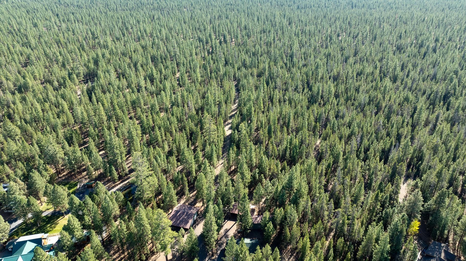 Photo of 14973 Ponderosa Loop 39 of 40