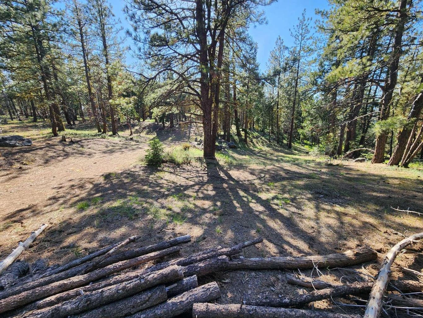 Photo of 0 Beaver 2 of 19