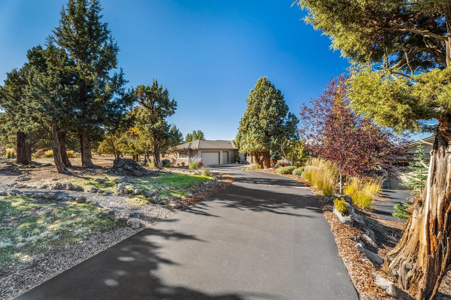 Photo of 1241 TRAIL CREEK Drive 41 of 87