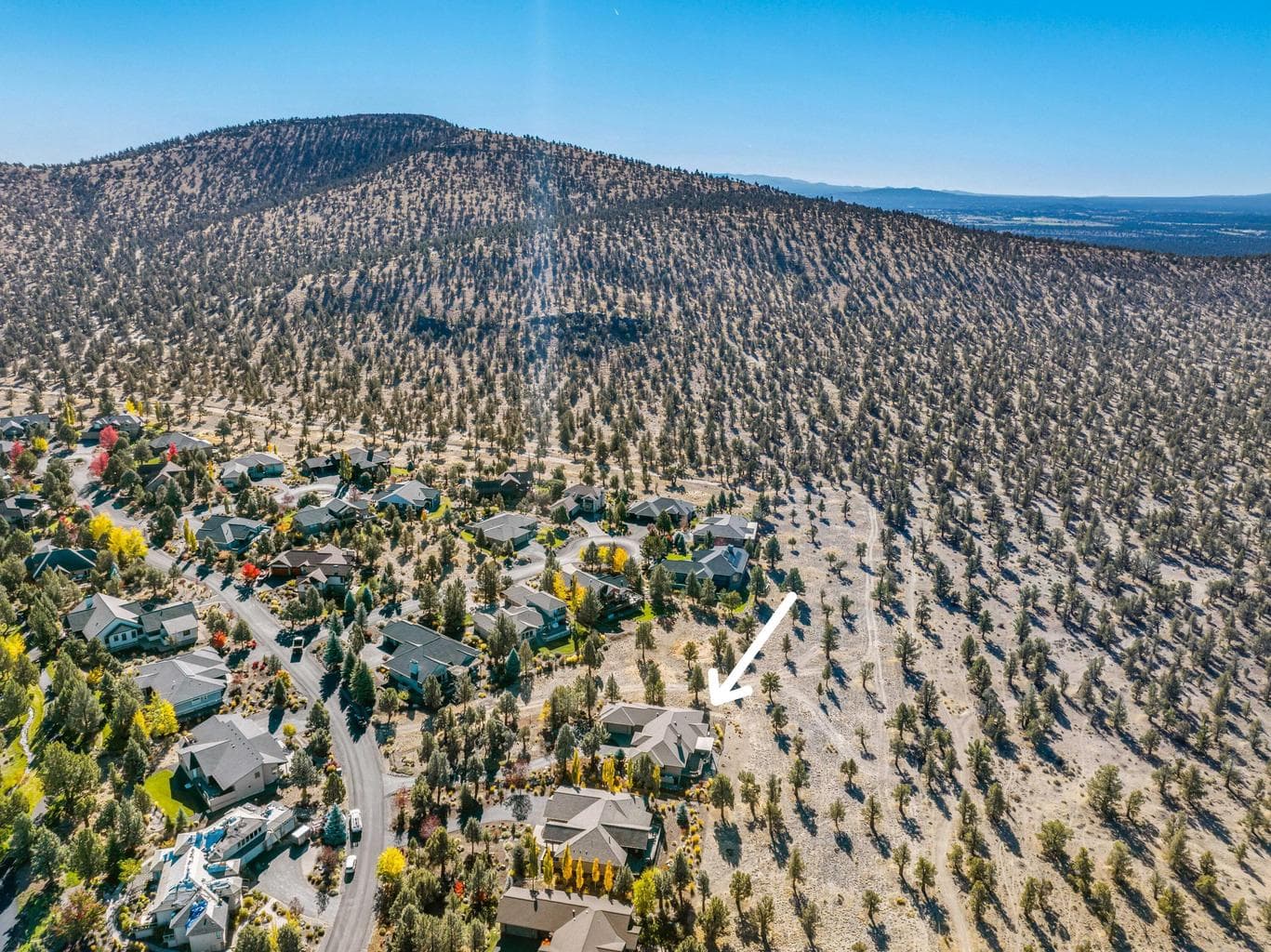 Photo of 1241 TRAIL CREEK Drive 52 of 87