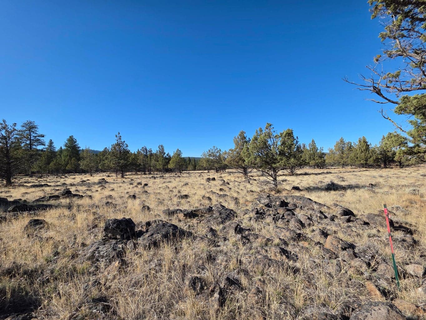 0 Cedar Trail