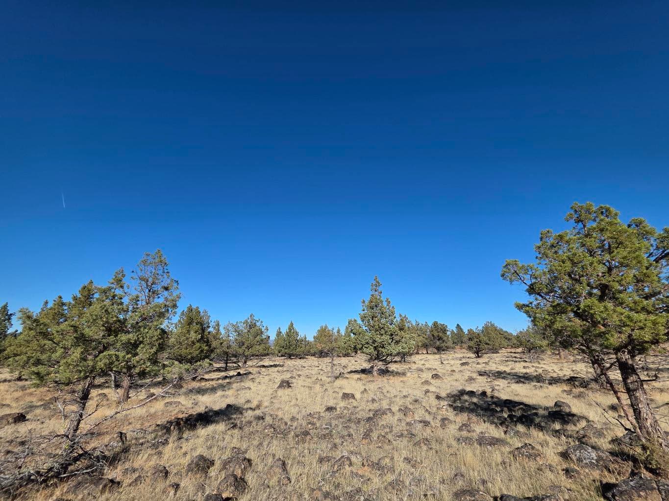 Photo of 0 Cedar Trail 4 of 6