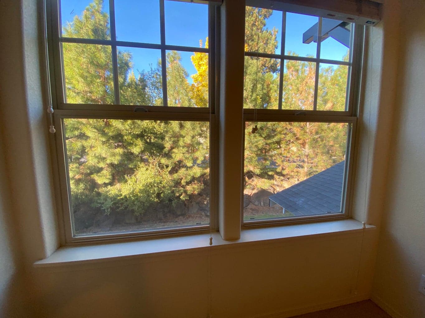 View from 2nd bedroom
