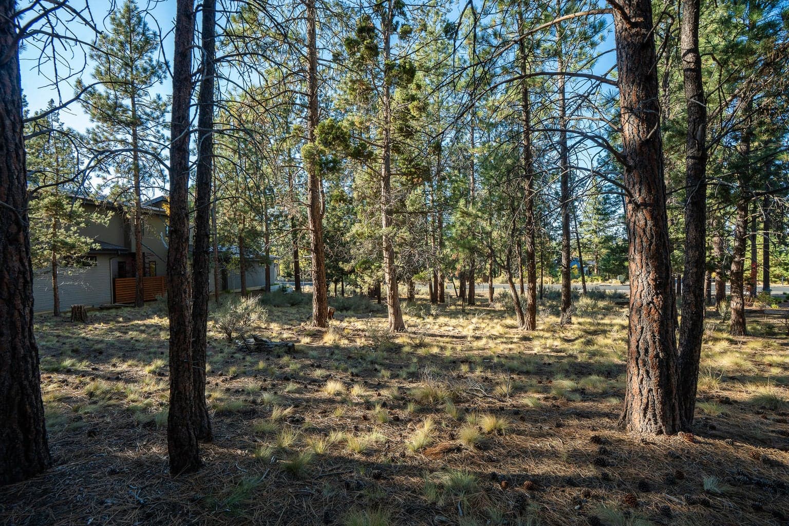 Photo of 61464 Meeks 6 of 16