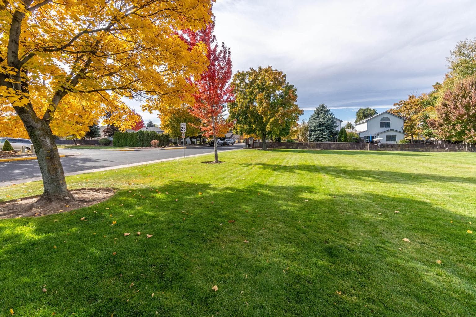 park
