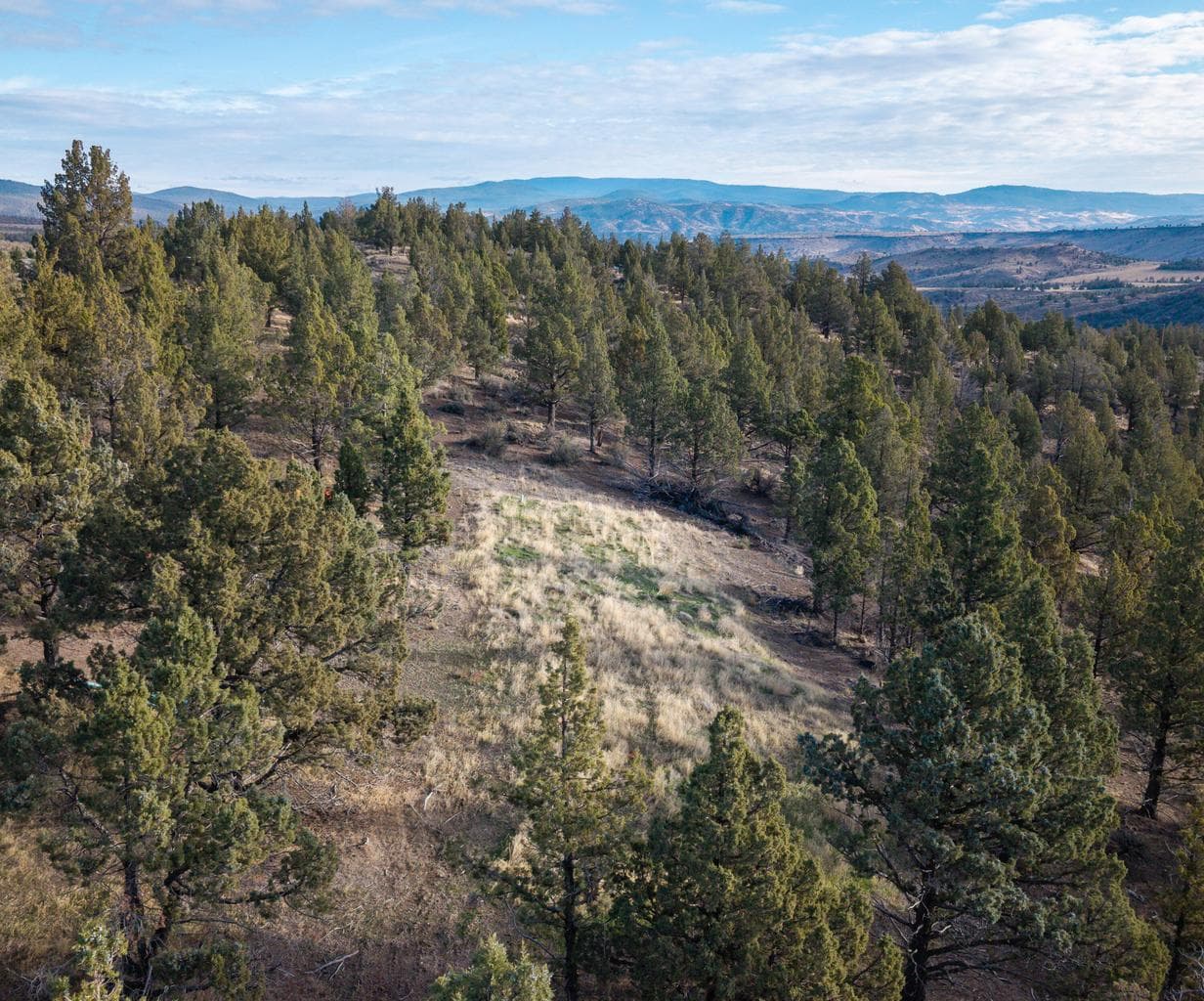 Photo of 20765 SE Dead End Road 25 of 39