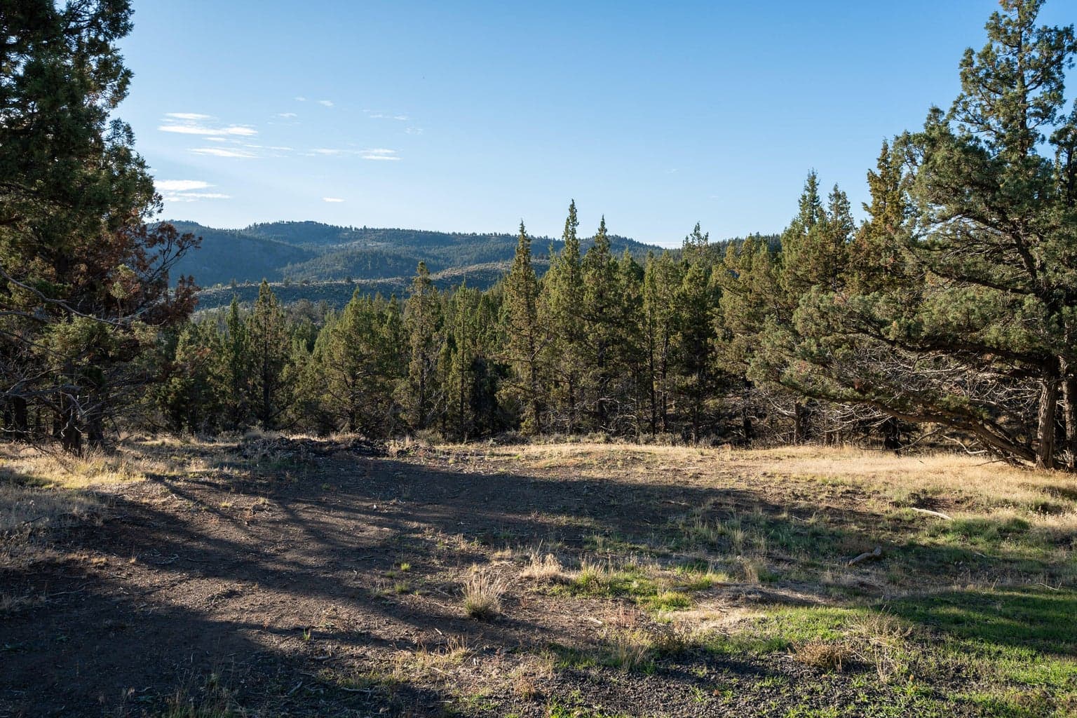 Photo of 20765 SE Dead End Road 13 of 39