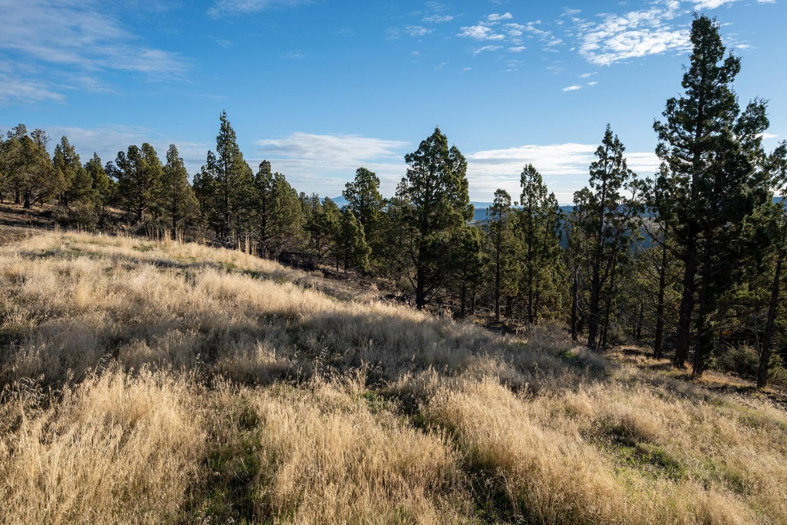 Photo of 20765 SE Dead End Road 14 of 39