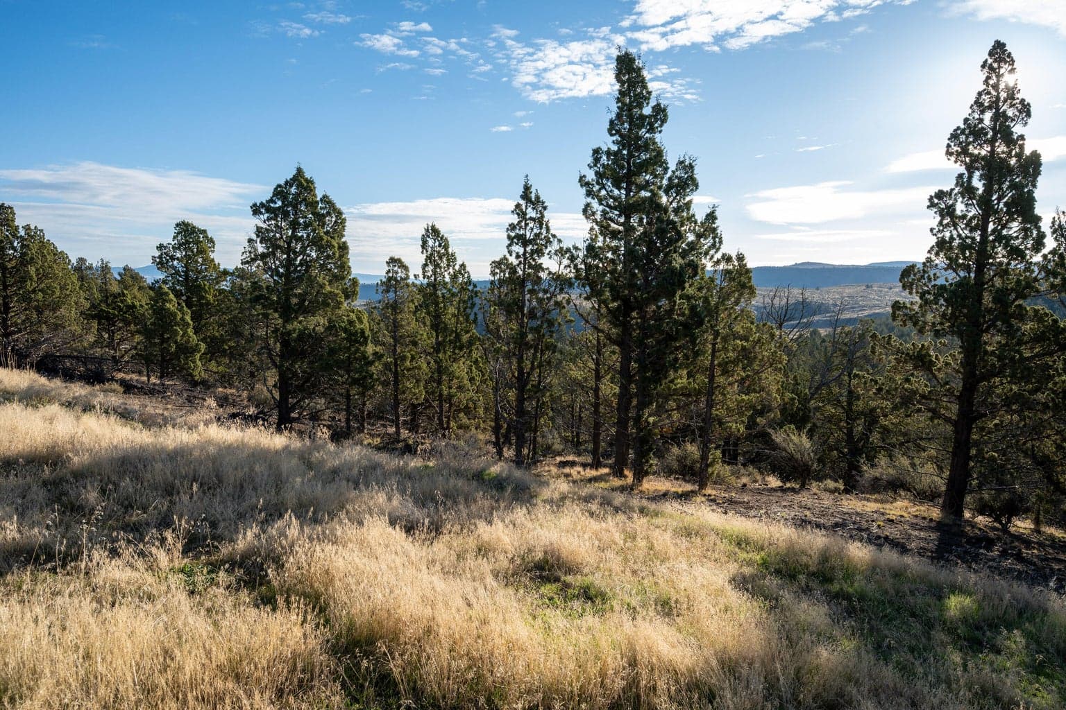 Photo of 20765 SE Dead End Road 17 of 39