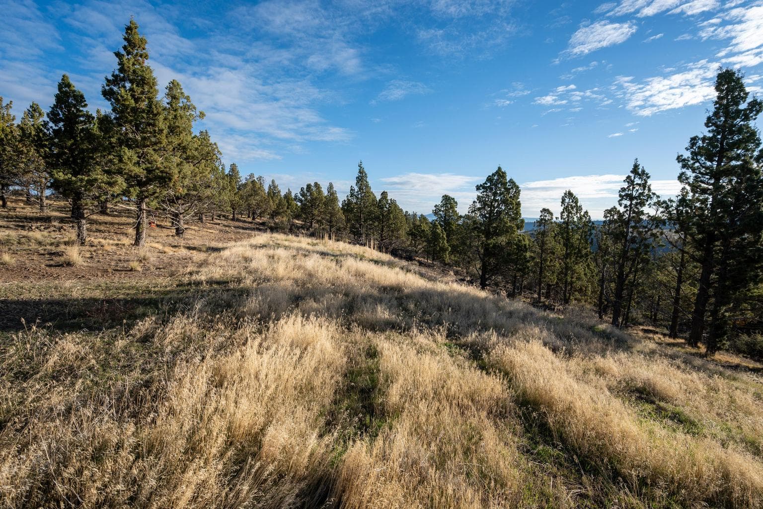 Photo of 20765 SE Dead End Road 16 of 39