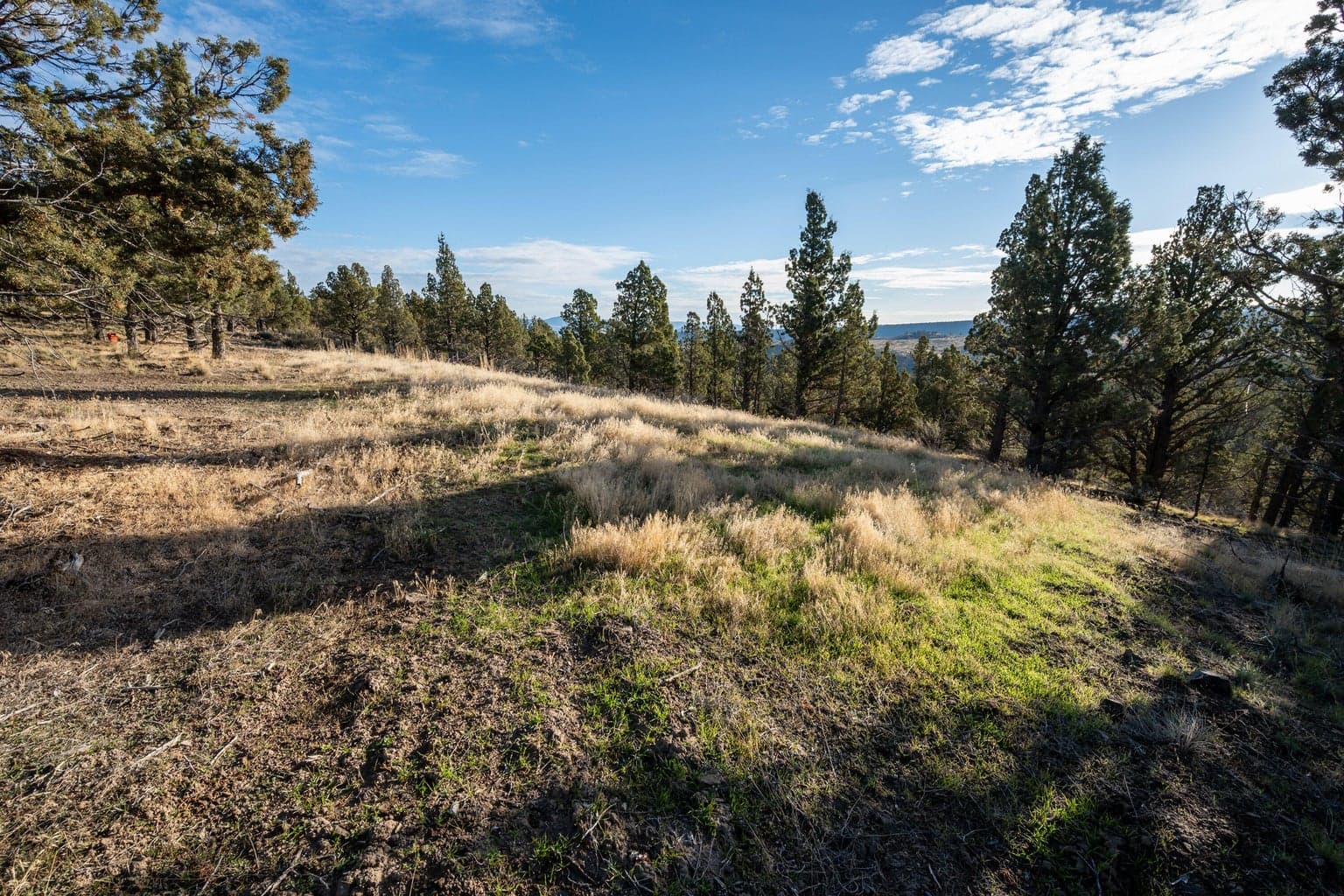 Photo of 20765 SE Dead End Road 15 of 39