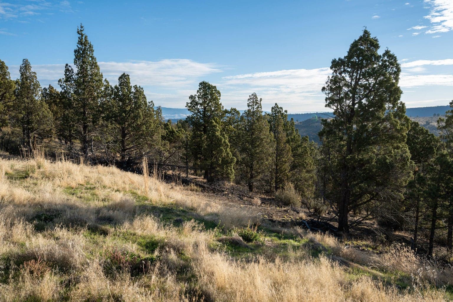 Photo of 20765 SE Dead End Road 18 of 39