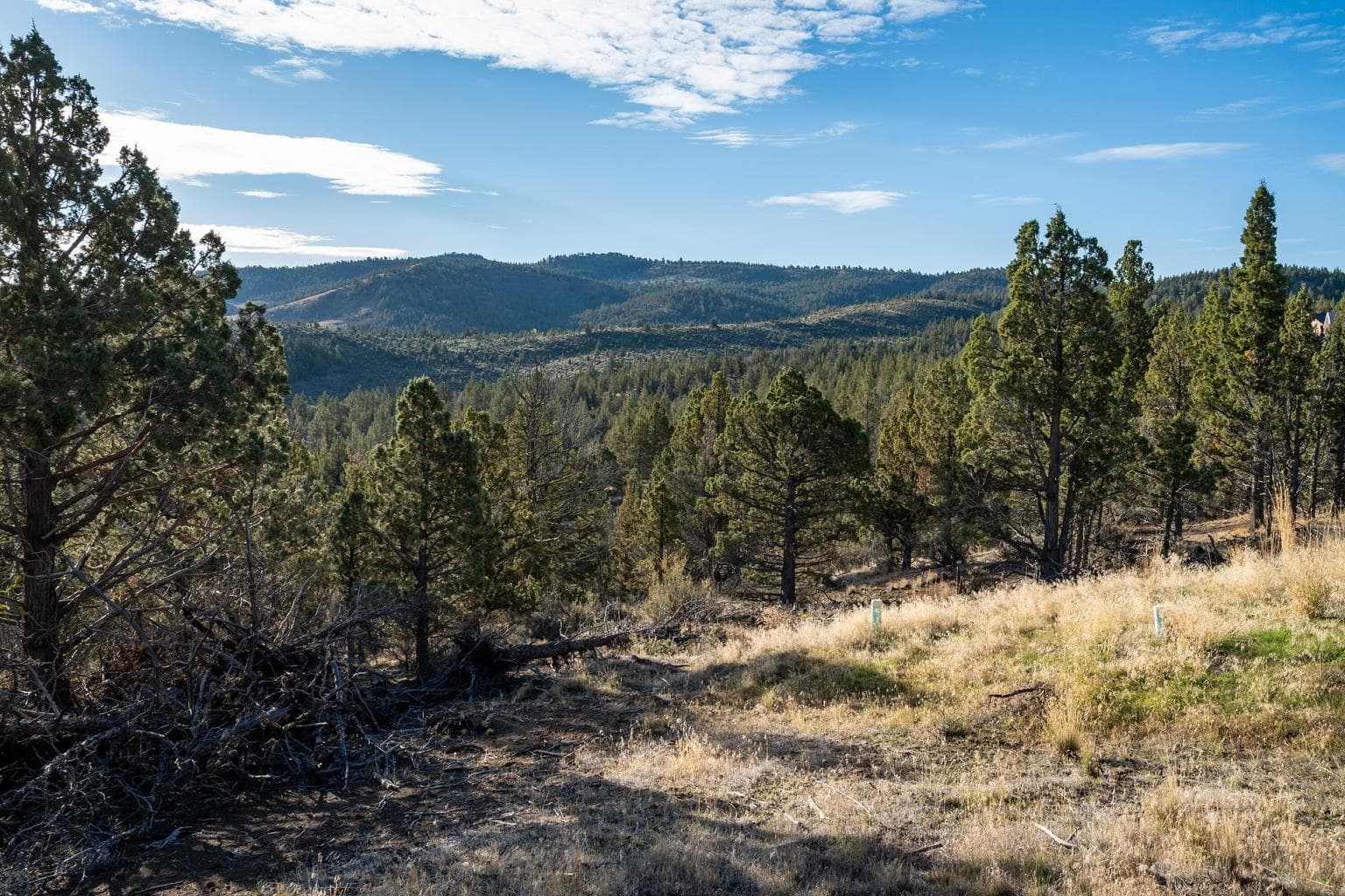 Photo of 20765 SE Dead End Road 19 of 39
