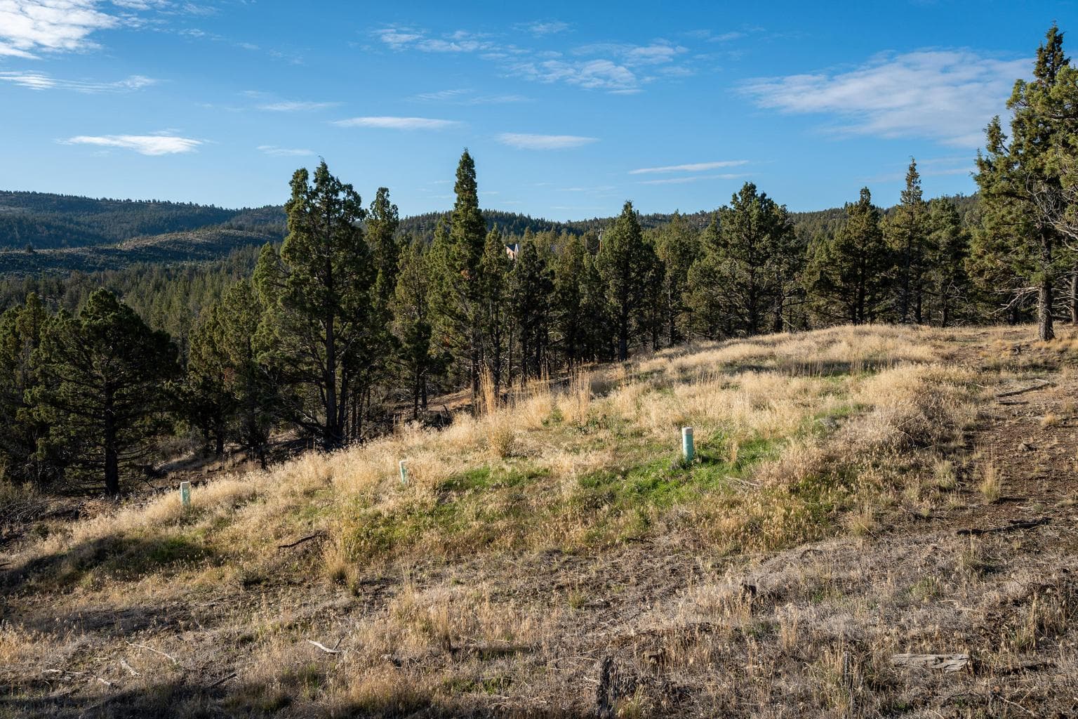 Photo of 20765 SE Dead End Road 20 of 39