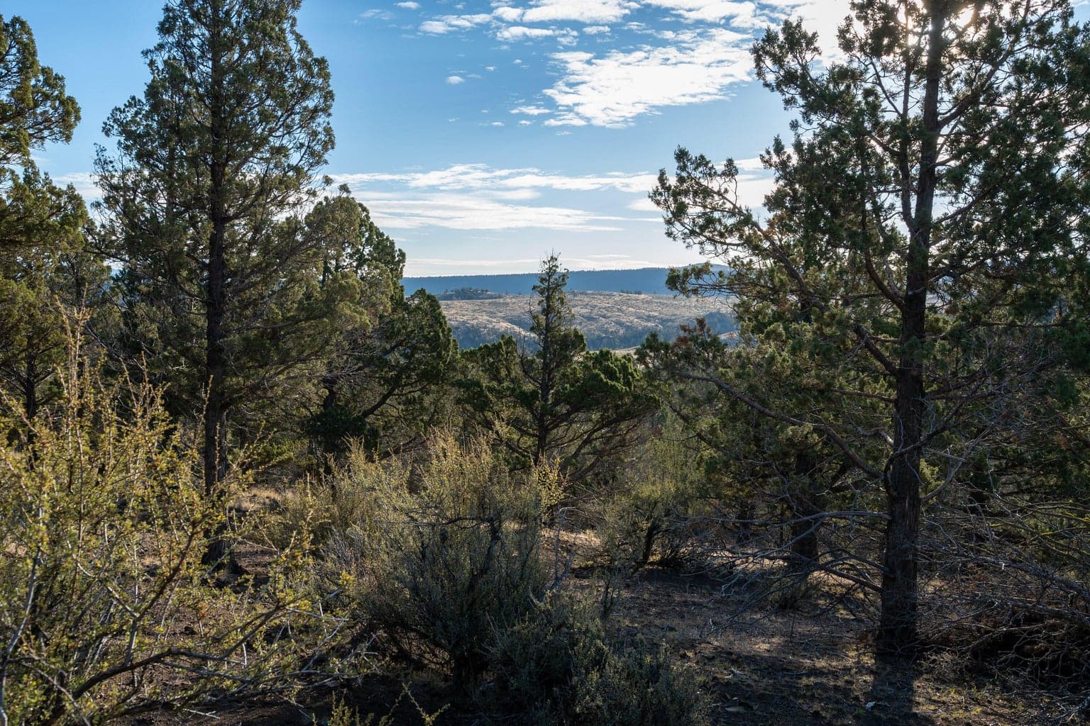 Photo of 20765 SE Dead End Road 21 of 39