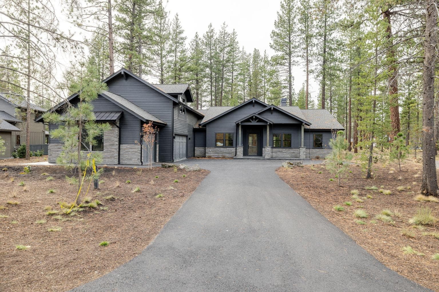 56244 Rockcress
